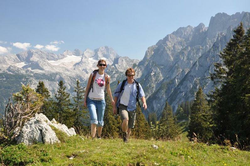 Appartement Stelo Gosau-Hallstatt Екстер'єр фото